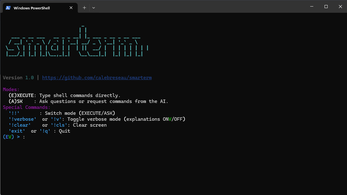 Aperçu de l'application Smarterm